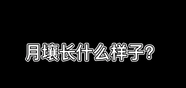amjs澳金沙门1513000plus仪器被利用于测试月壤